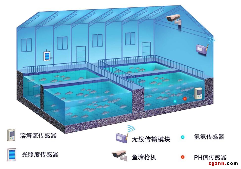 科技讓農業(yè)綻放“智慧”之花
