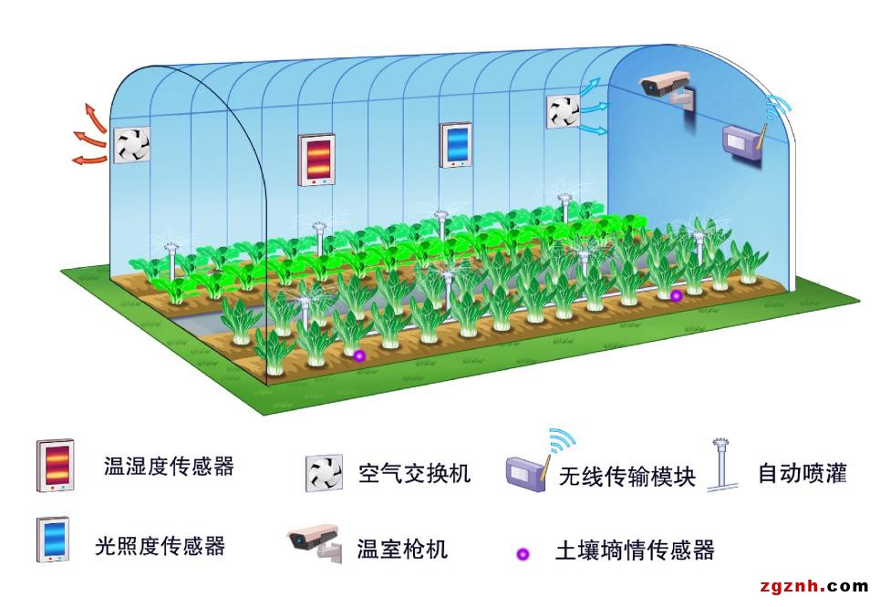 科技讓農業(yè)綻放“智慧”之花