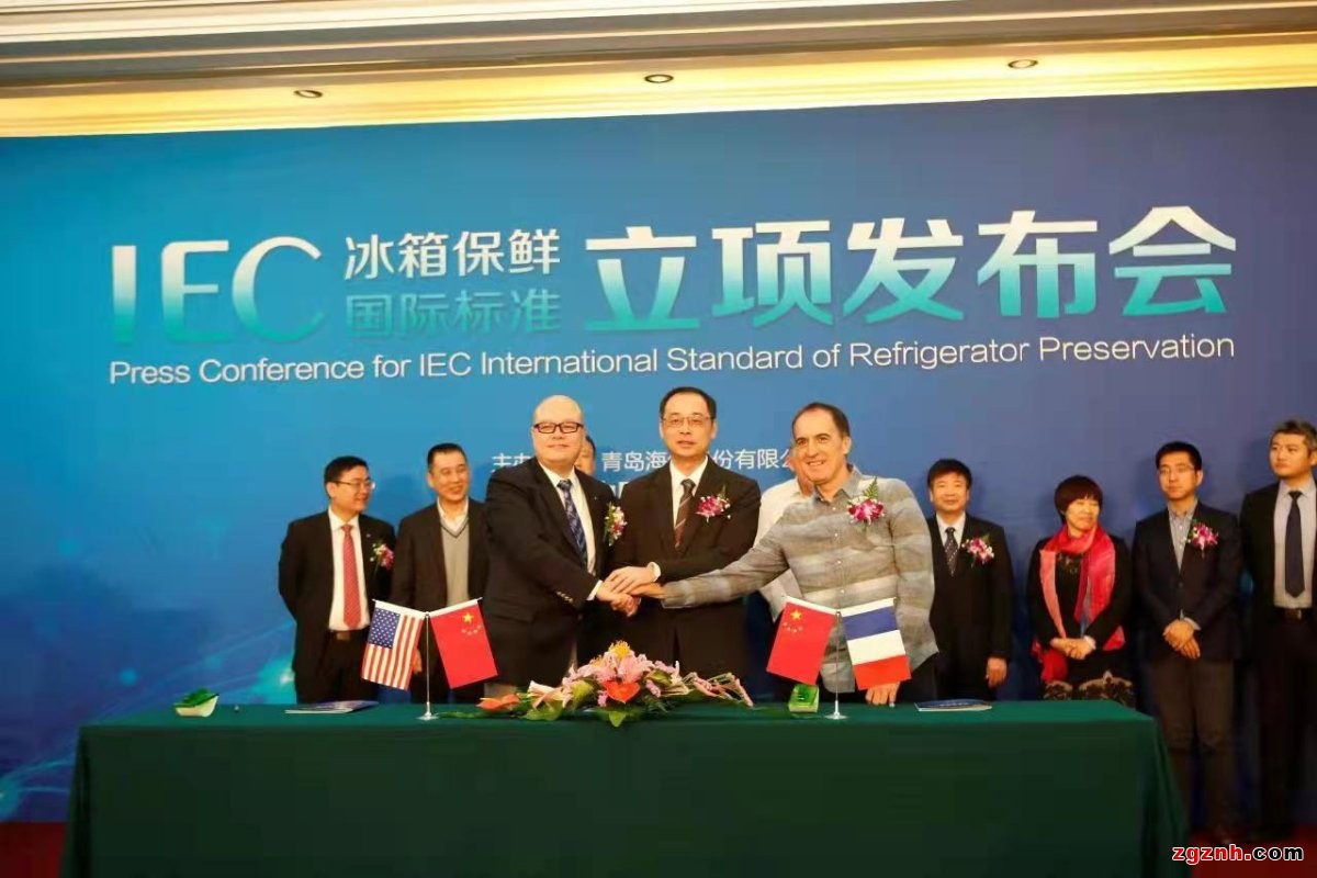 揚起國際標(biāo)準(zhǔn)的“帆”，中國企業(yè)出海乘風(fēng)破浪